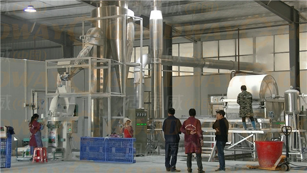 創建淀粉加工廠都包括哪些方面的資金投入？